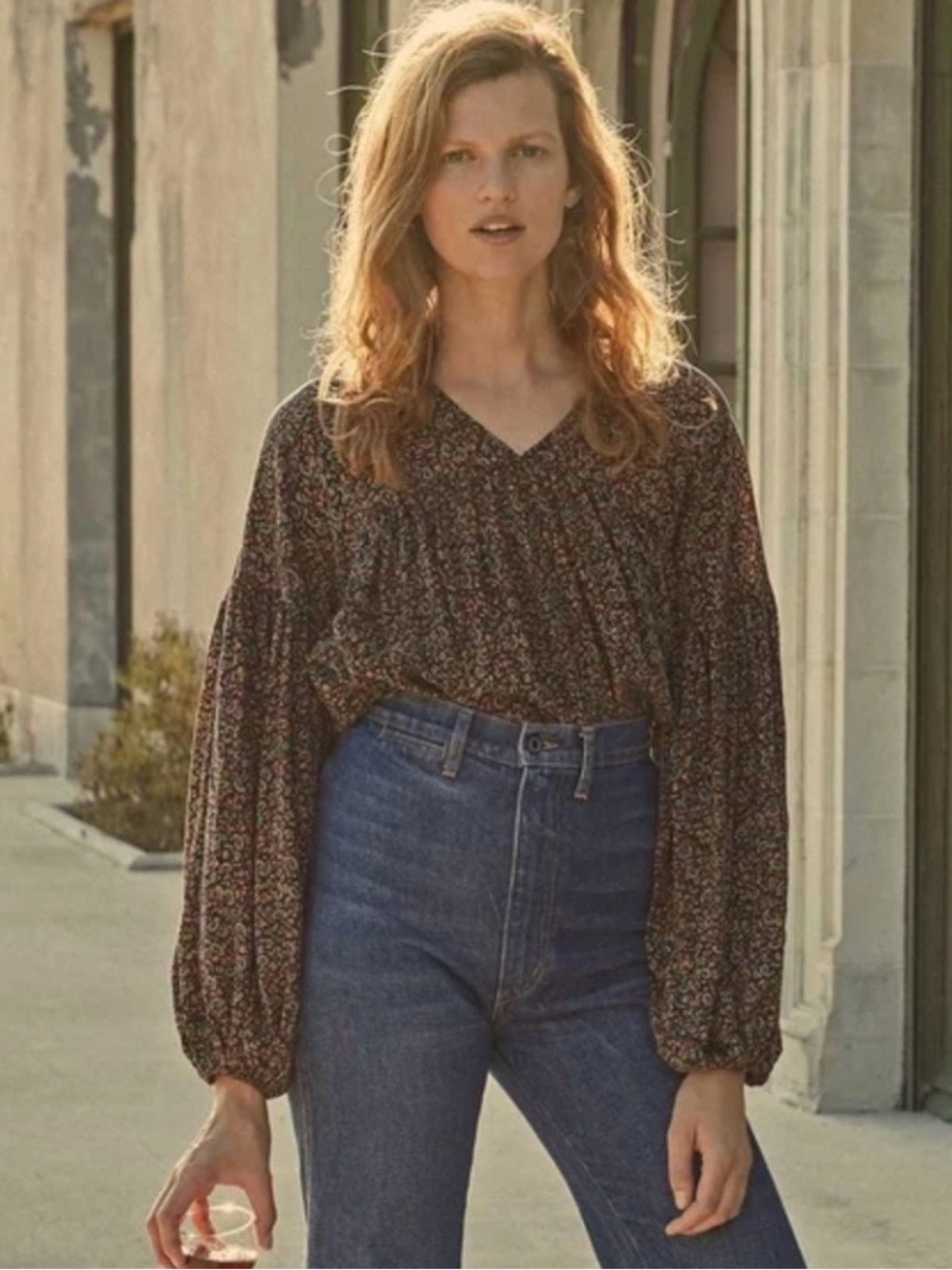 Doen Brown Floral V-Neck Balloon Sleeve Blouse